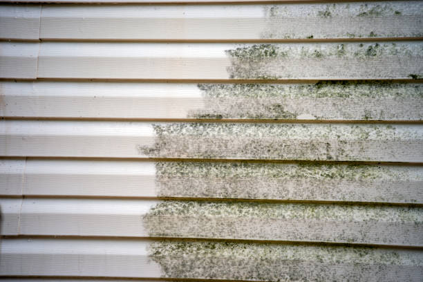 Best Weatherproofing and Sealing  in San Ramon, CA