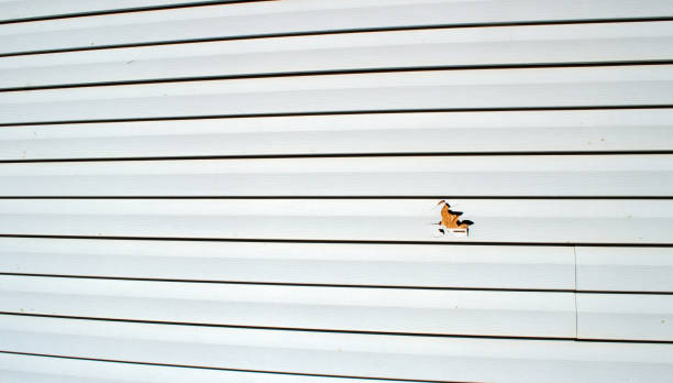 Best Residential Vinyl Siding Installation  in San Ramon, CA